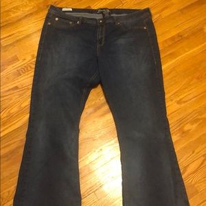 Torrid Source of Wisdom Jeans Size 24 EUC